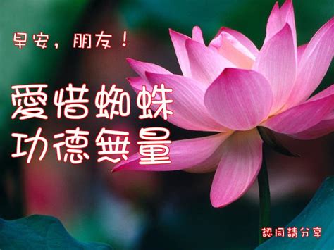 家裡 蜘蛛 很多|該把家裡的蜘蛛殺掉嗎？